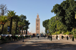 Koutoubia Mosque