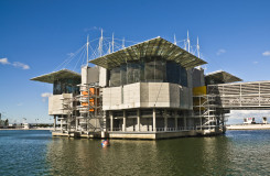 Lisbon Oceanarium