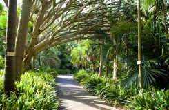 Australian National Botanic Gardens