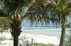 Bahamas beach