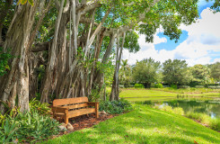 Banyan Tree Park