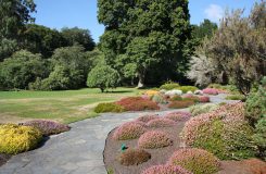 Botanic Gardens