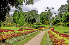 Botanical Garden