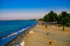 Dive or snorkel along the barrier reef