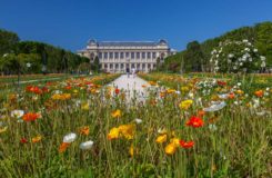 Jardin des Plantes