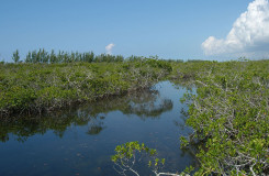 Lucayan National Park