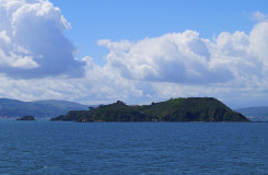 Matiu Island