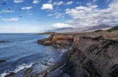 Point Lobos State Reserve in Carmel