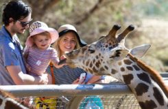 Sacramento Zoo