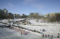 The Forks