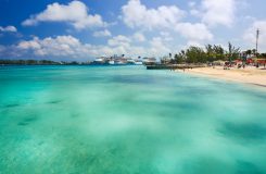 The Pink-Sand Beach