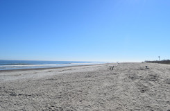 Tybee Island Beach