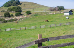 Wilder Ranch State Park