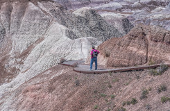 Petrified Forest