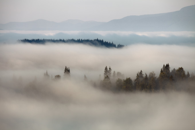 Mountain fog