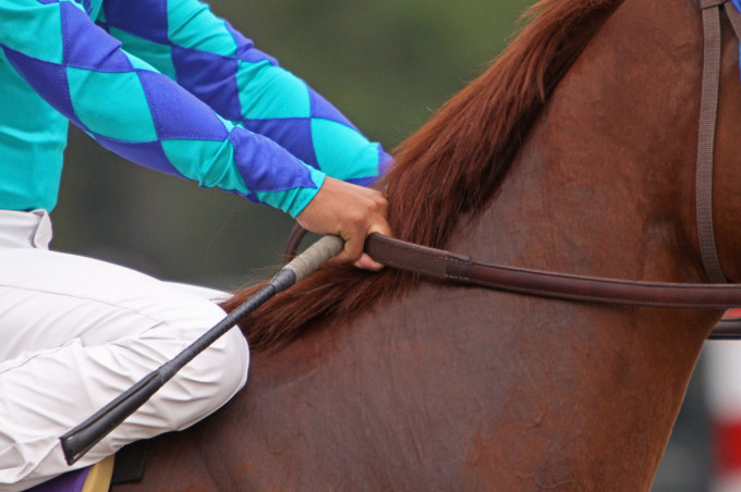 Closeup view of jockey and thoroughbred. 