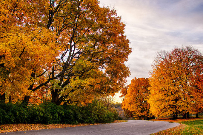 Experience the beautiful foliage of fall by private jet travel