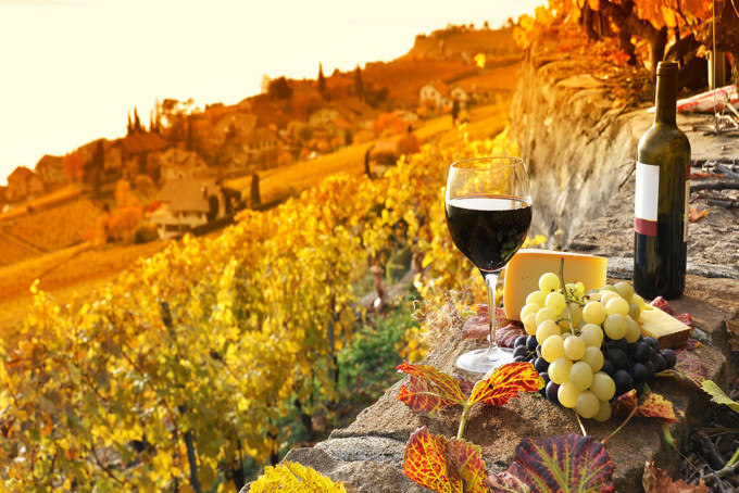 Visit your favorite winery by private jet charter this fall