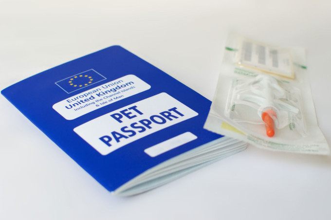 Be sure to pack all your pets required papers when traveling.