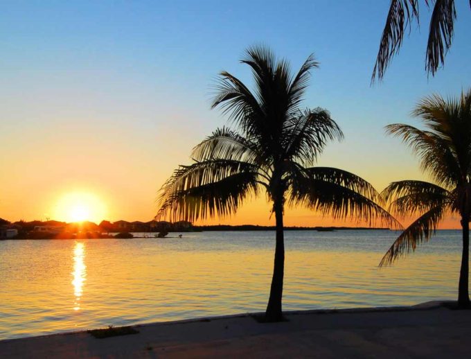 Palm trees and sunsets abound in the Florida keys. 