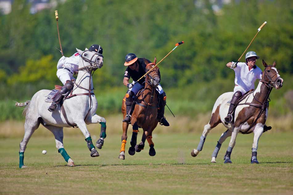 Campo Argentino de Polo is the site of the Argentina Open Polo Championships event.