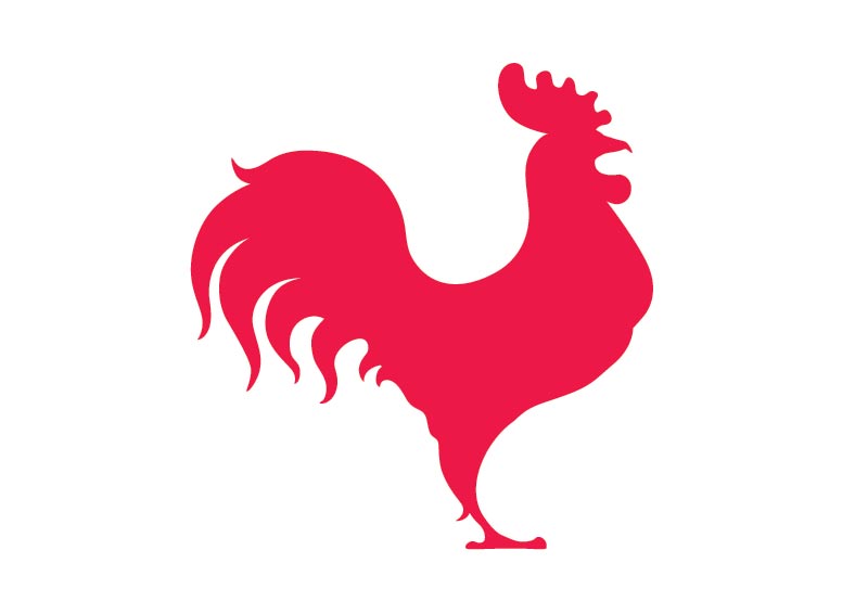  Vector illustration rooster